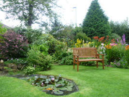 Victoria | Bluebird Gardening