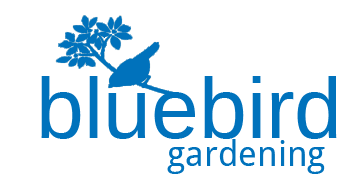 Bluebird Gardening